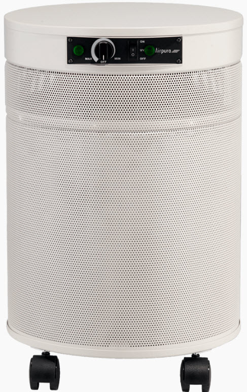 I have multiple chemical sensitivity and sensitivity to odors and mold. Would this purifier take care of this.